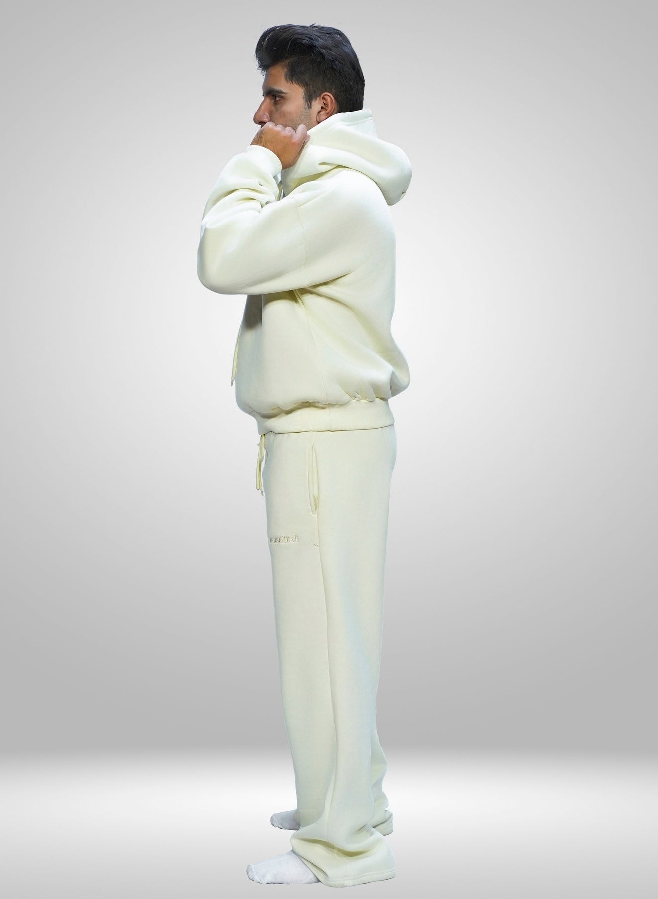 Premium Heavyweight Hoodie - Aura Series 01